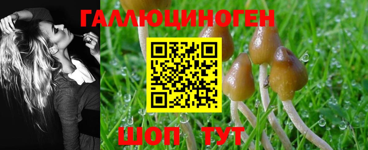 Галлюциногенные грибы Magic Shrooms  Вход с VPN  Алексин 
