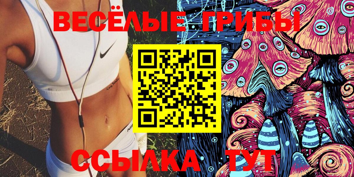 Галлюциногенные грибы Cubensis Алексин